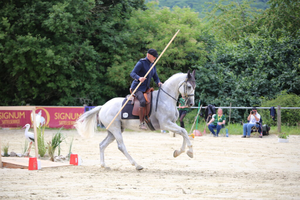 reiter mit stab in der hand auf einem weißen pferd auf einem reitplatz